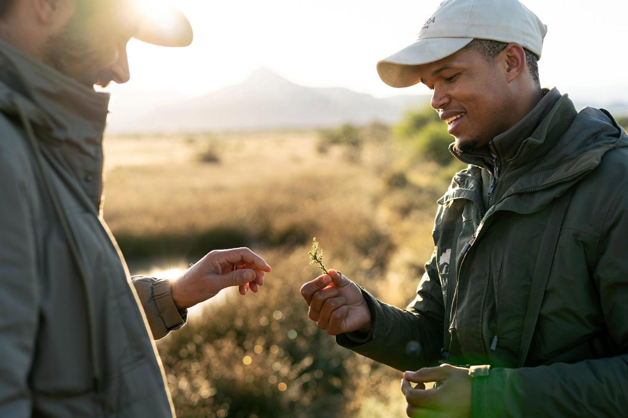 Samara Karoo Reserve Graaff-Reinet Kültér fotó