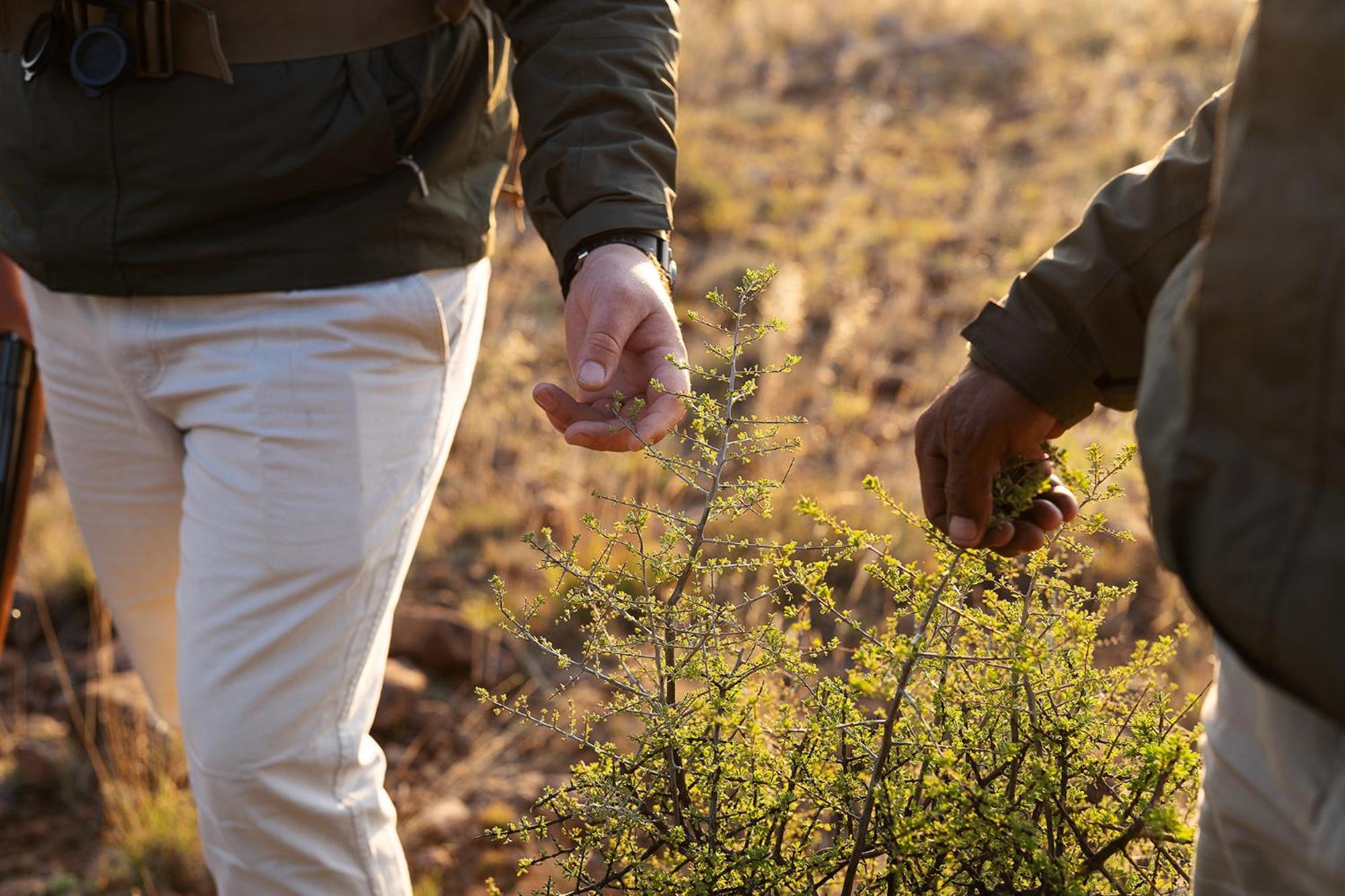 Samara Karoo Reserve Graaff-Reinet Kültér fotó