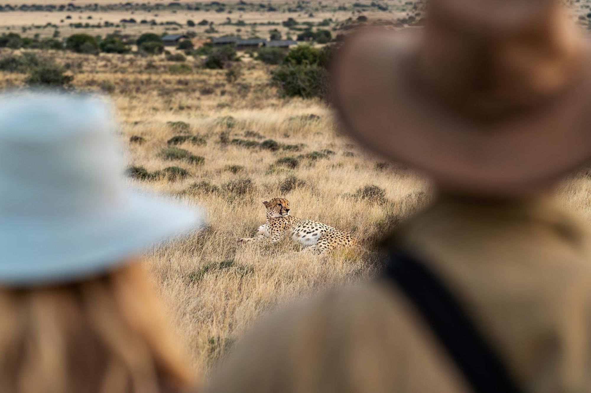 Samara Karoo Reserve Graaff-Reinet Kültér fotó