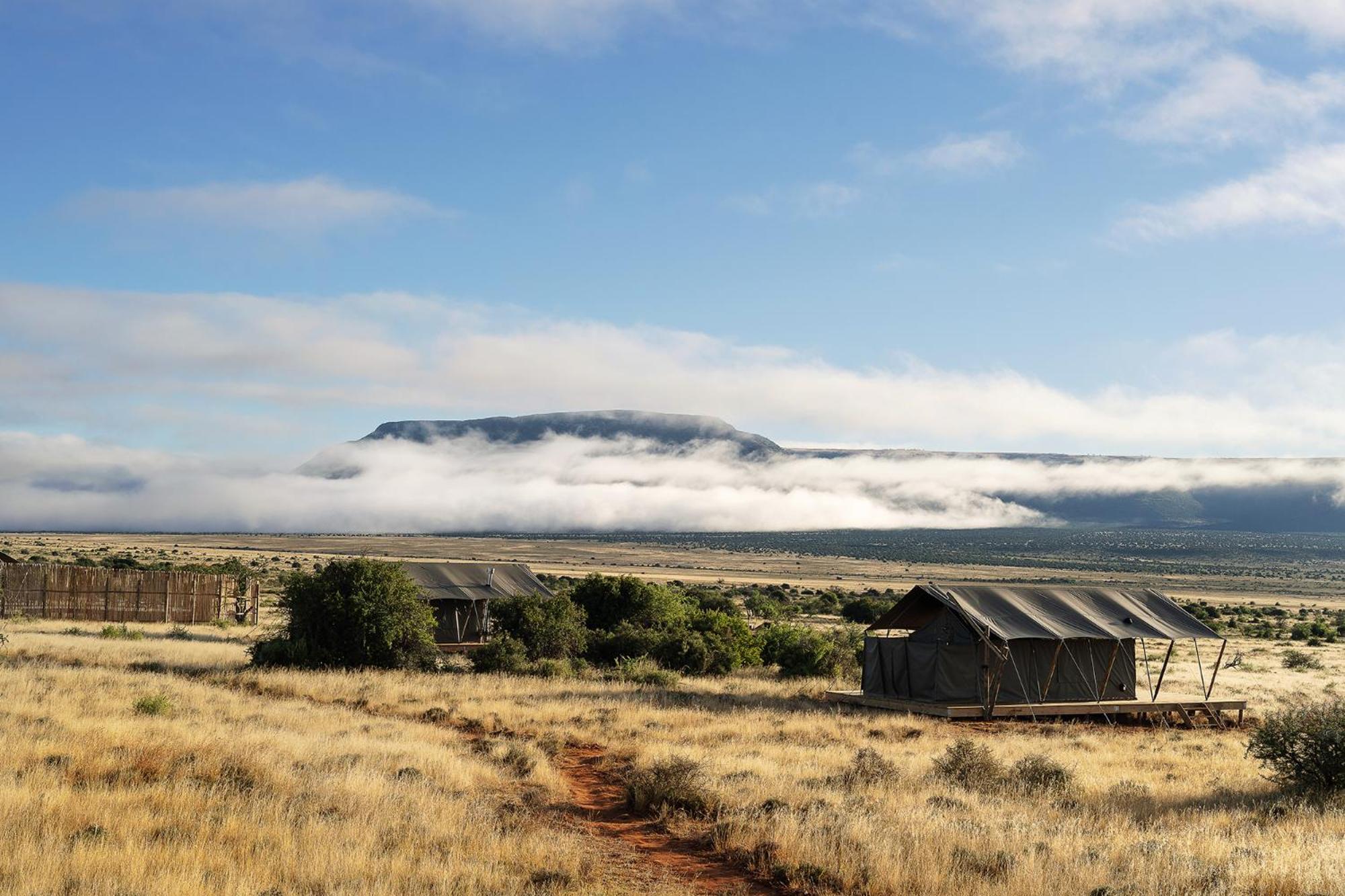 Samara Karoo Reserve Graaff-Reinet Kültér fotó